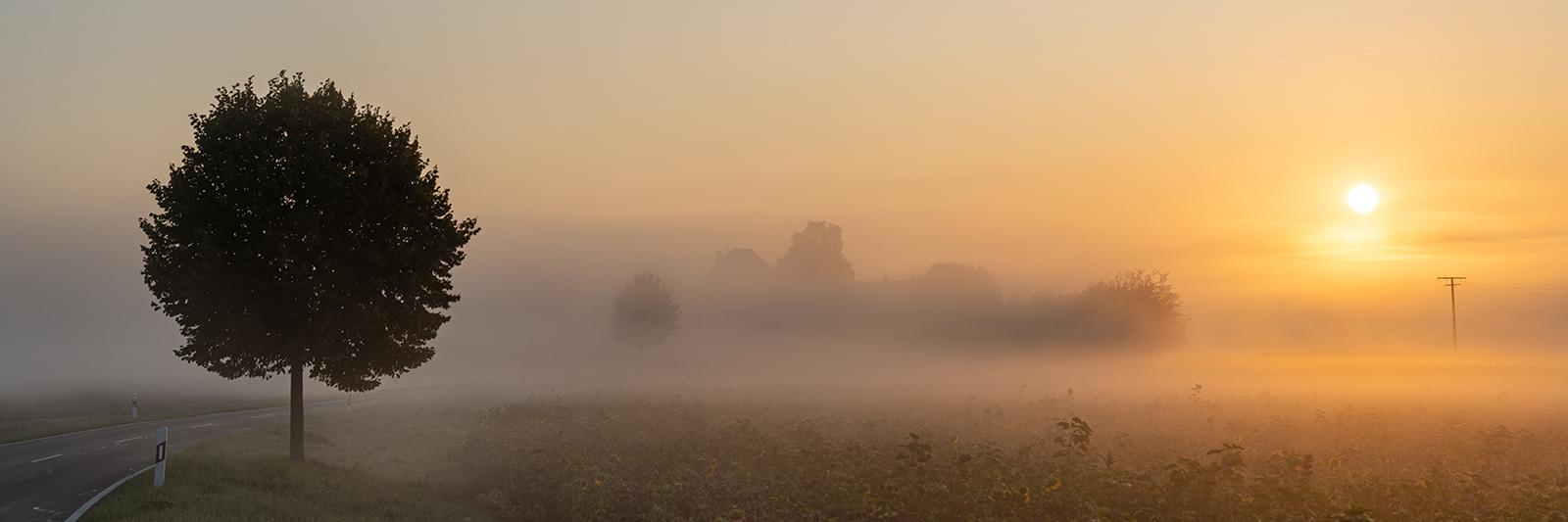 Sonnenaufgang über einem Feld