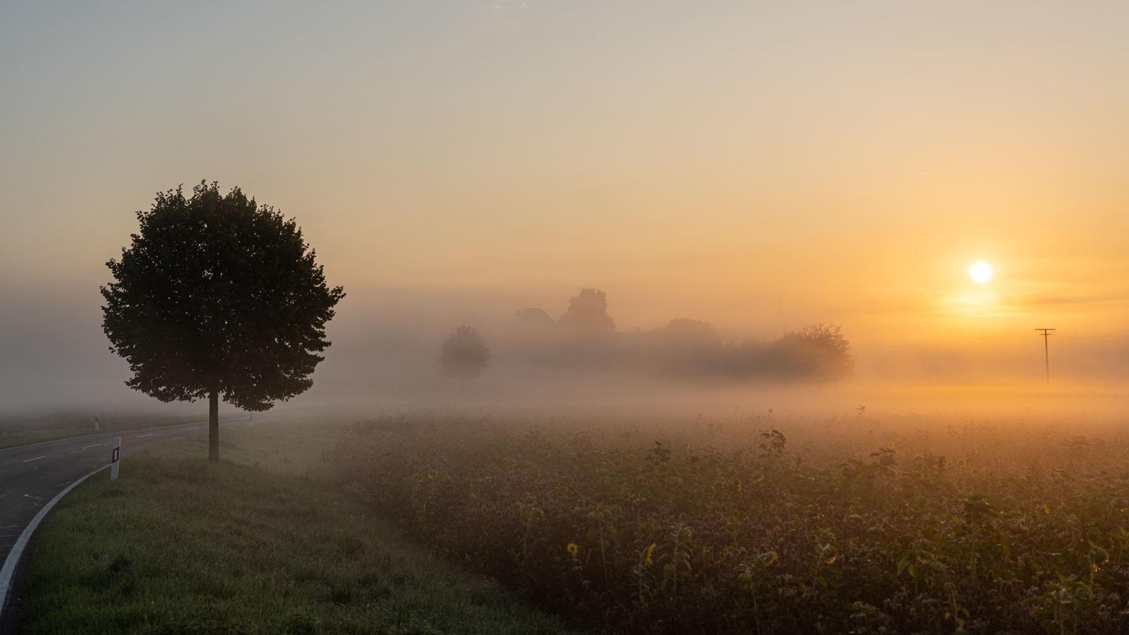 Sonnenaufgang über einem Feld